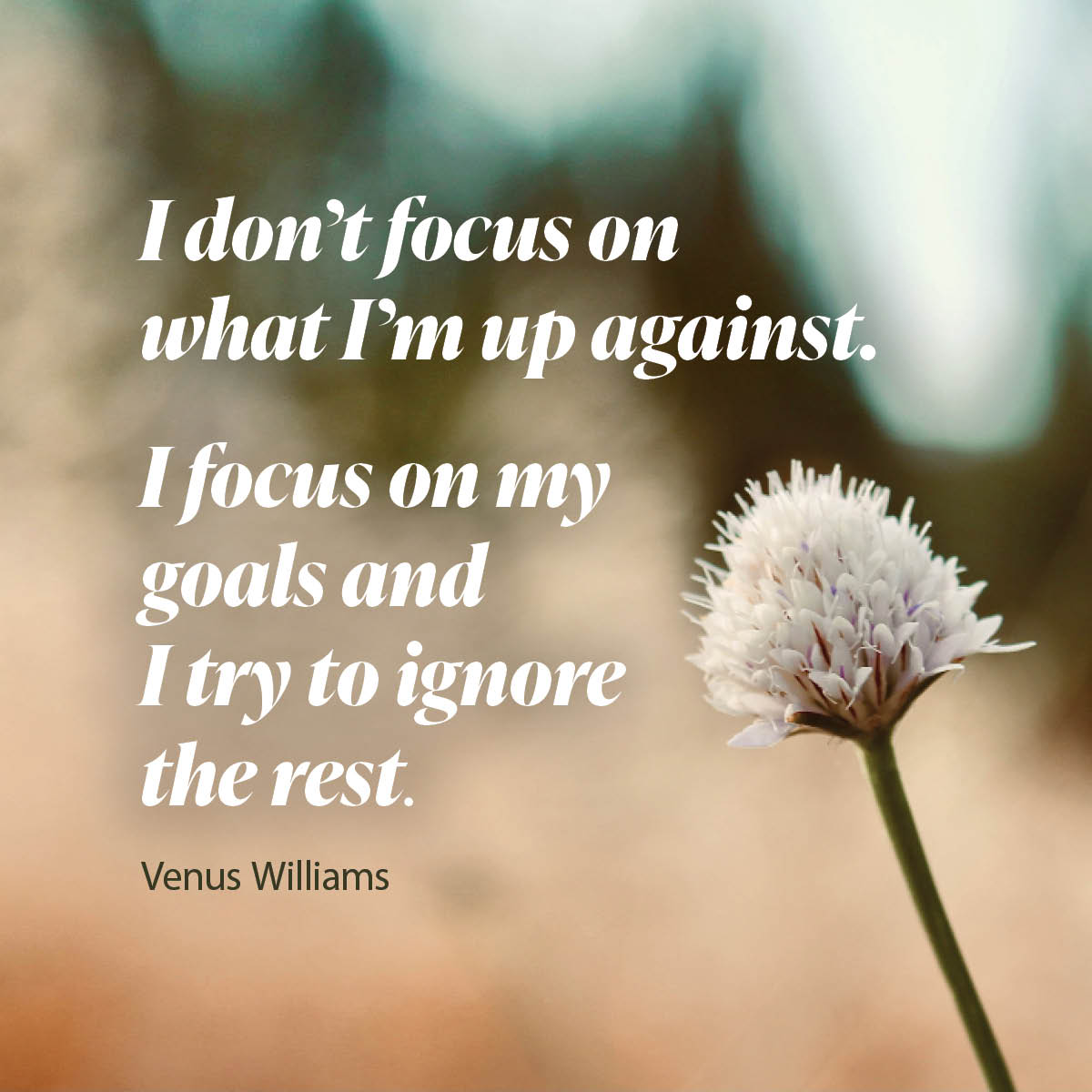 I don’t focus on what I’m up against. I focus on my goals and I try to ignore the rest. 