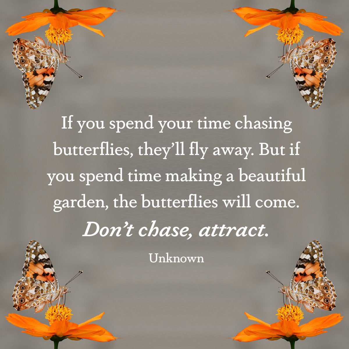 If you spend your time chasing butterflies, they’ll fly away